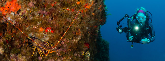 Diving Ibiza