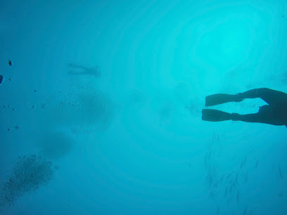 Diving Teide Divers
