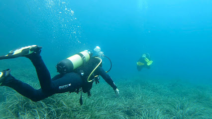 MDS My Diving School