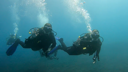 Punkfish Diving La Palma