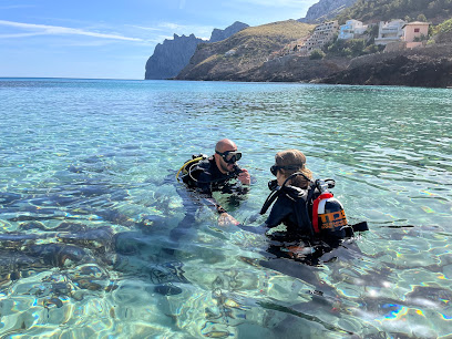 PADI - Barracuda Diving Mallorca