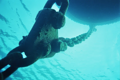 Bubbles Dive Torrevieja