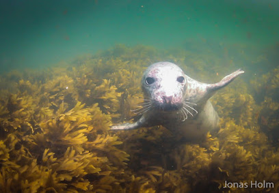 Unique Dive & Travel