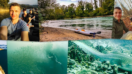 Seasnakedivers & Adventures Swiss