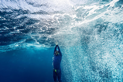 freedive.world