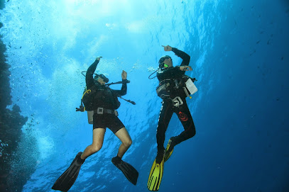 Go-Diving, School Diving Padi À Sion