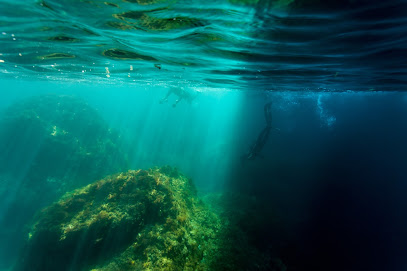 Premium Freedive Center & Shop