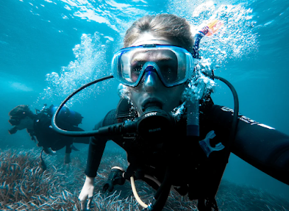 Divehunter