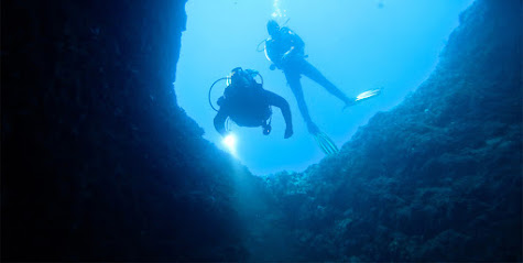 Thrive 2 Dive