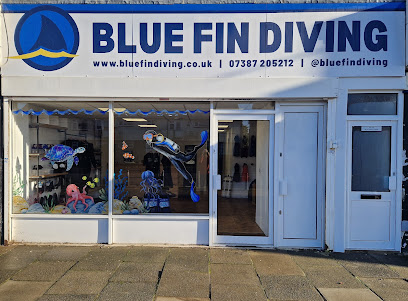 Blue Fin Diving