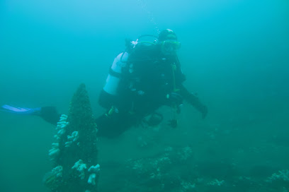 Grimsby & Cleethorpes Scuba Diving club (BSAC Branch37)