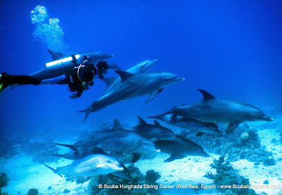 Boldmere Scuba Divers & Sub Aqua Club