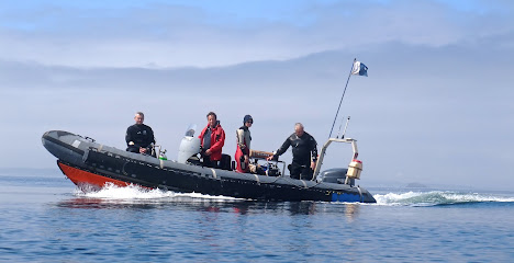 Newton Stewart Sub Aqua Club