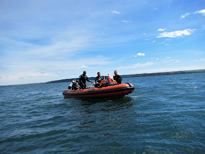 Ipswich Dive Club (iDive)