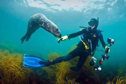 British Sub-Aqua Club BSAC