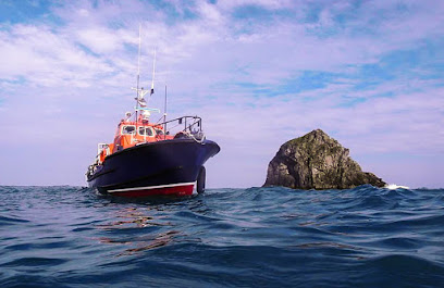 Brixham Dive and Charter