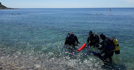 Worcester Divers, Snorkelling & Octopush Club. BSAC & BOA