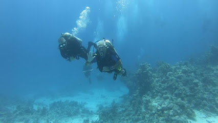 Sutton Coldfield Scuba Diving and Snorkeling Club