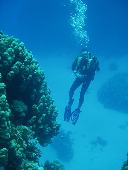7Seas Scuba Diving