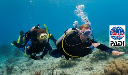 Fyne Diving