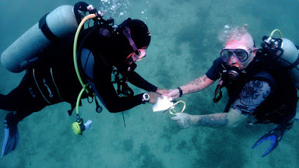 Bexley Diving Academy