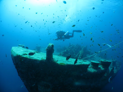 Stingray Divers