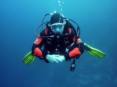 Jeffs Diving World