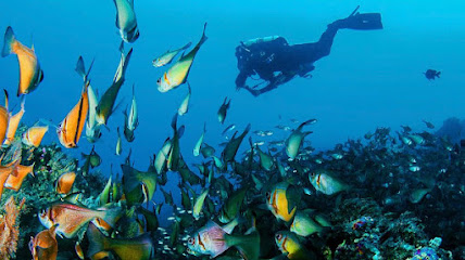 Borehamwood Scuba Diving School | PADI & SSI | Retailer of Scuba gear.