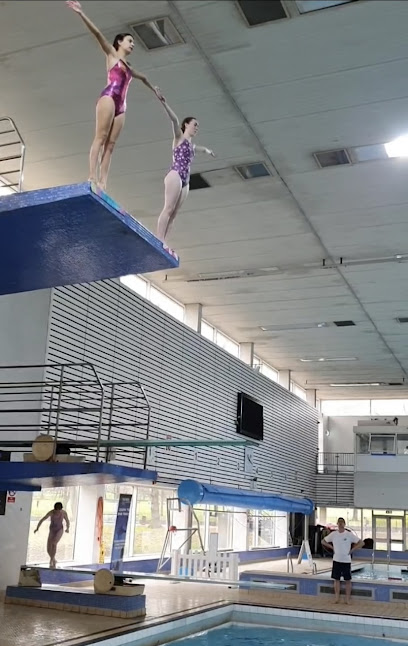 Highgate Diving Club