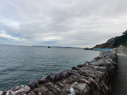Dive Torquay