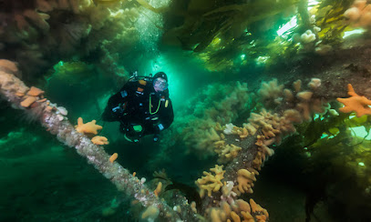 Carlisle Sub Aqua Club