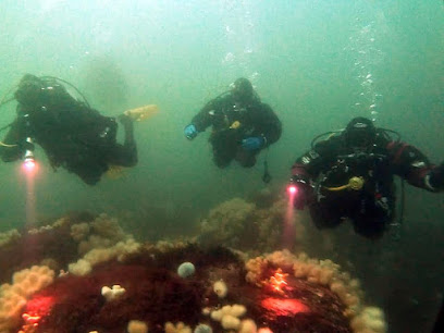 Manchester Diving Group
