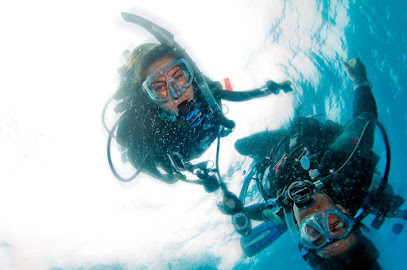 Hull Sub Aqua Club