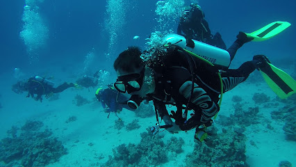 Heads of The Valley's Sub Aqua Club