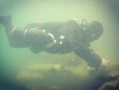 DIVE MOJO