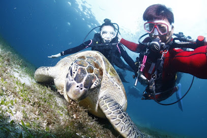 VIVA DIVING HONG KONG