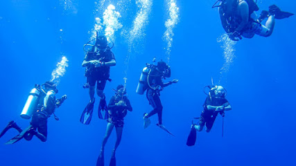 Goa Aquatics