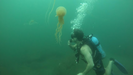 GOA DIVING