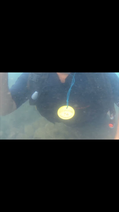 Suba divining