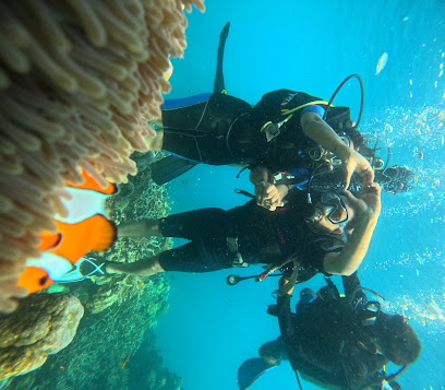 Andaman Reef Trip
