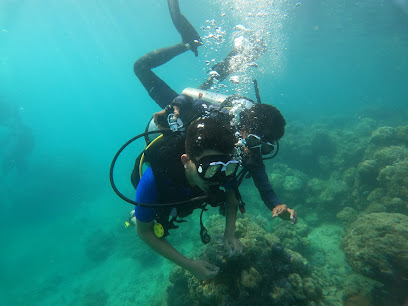 CORAL GARDEN SCUBA