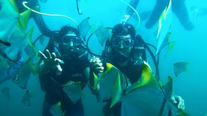 Dive Sarjekot