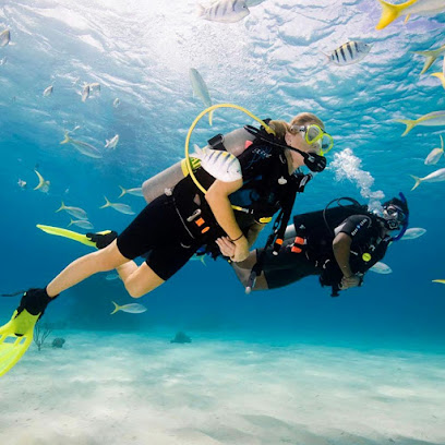 Tours in Goa