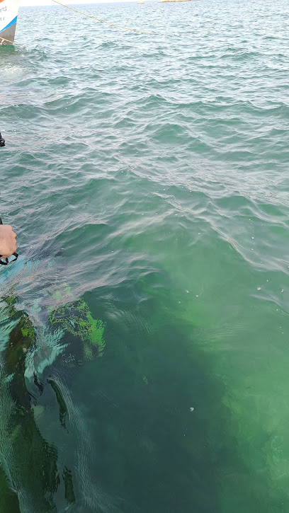 Scuba diving place Devbag