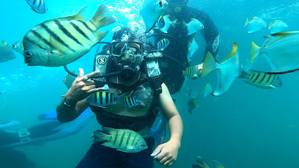 Scuba diving in goa