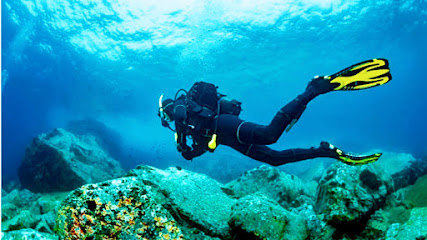 Samarth Scuba Diving In Malvan & Tarkarli water sport