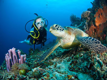 Andaman Scuba Academic