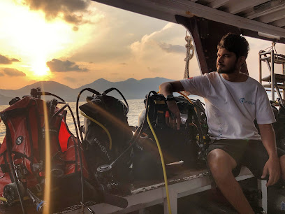 The Diving Deck