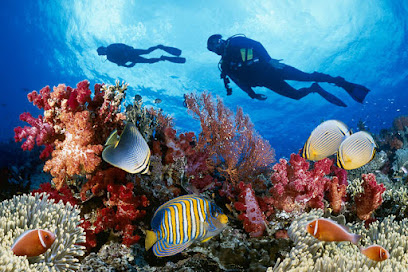 Scuba Diving with Island Trip
