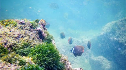 Toursofgoa